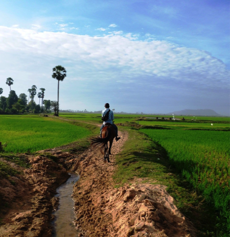 Horse riding in Cambodia
