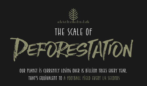 The scale of deforestation