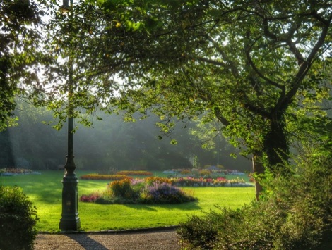 Morning sun, Merrion Square, Dublin