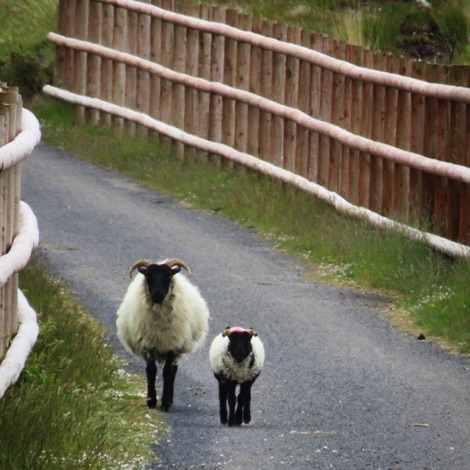 On the bike trail between Achill Island and Westport town, County Mayo