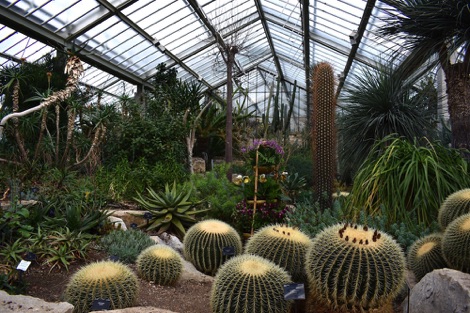 Kew Gardens Princess of Wales Conservatory