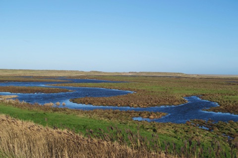 Cley Marshes