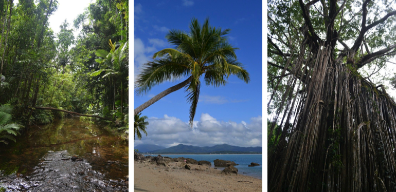 Places to visit in Queensland, Australia