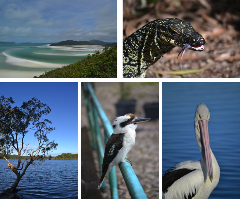 Places to visit in Queensland, Australia