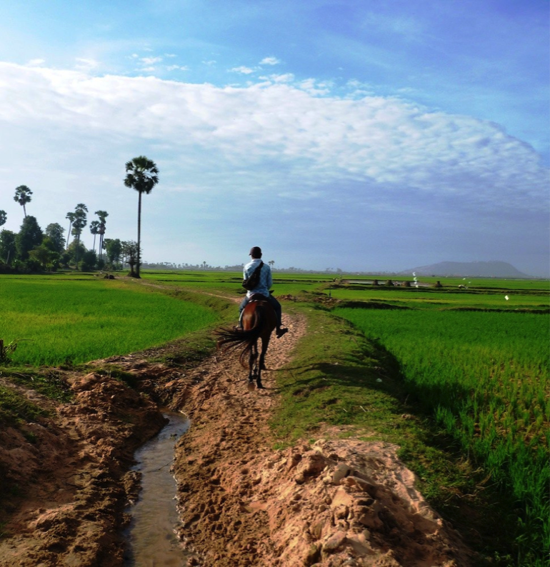 Horse riding in Cambodia