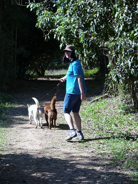 Kataleen walks the dogs