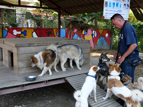 Roger works with the dogs