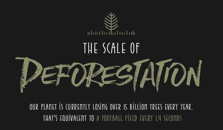 The scale of deforestation