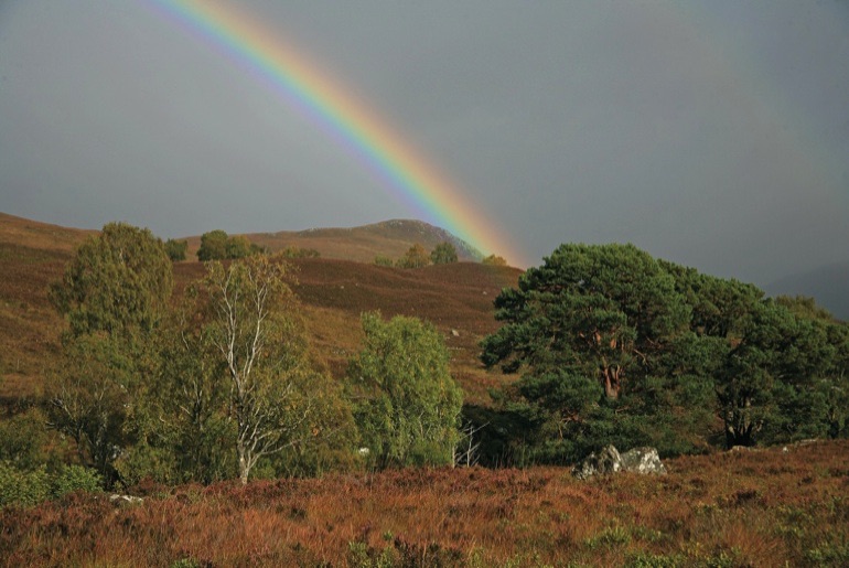 Rainbow over Dundreggan
