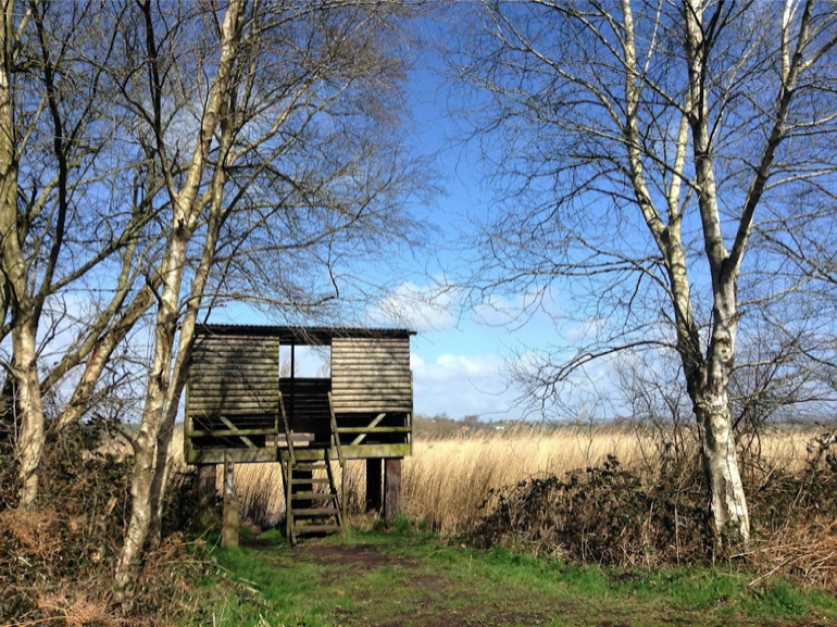 Bird hide in the Somerset Levels