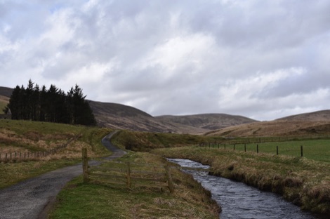 Tarras Valley Nature Reserve