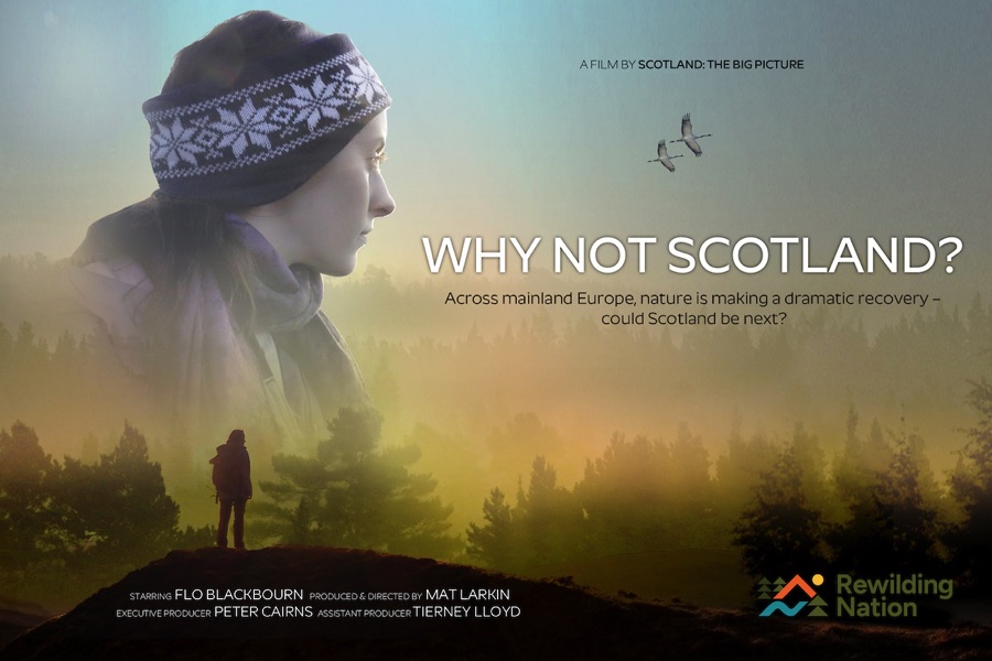 Why Not Scotland? film poster