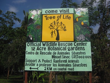 Tree of Life