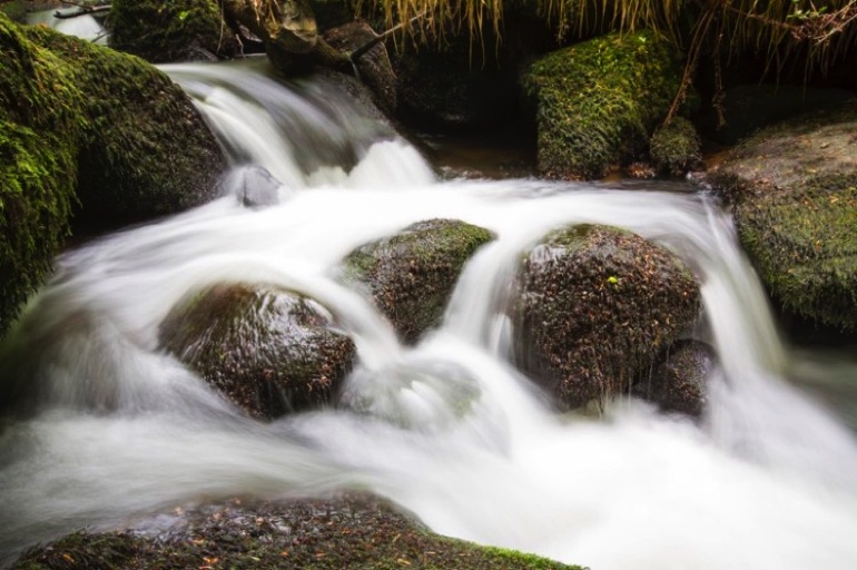 Kennall Vale, Cornwall