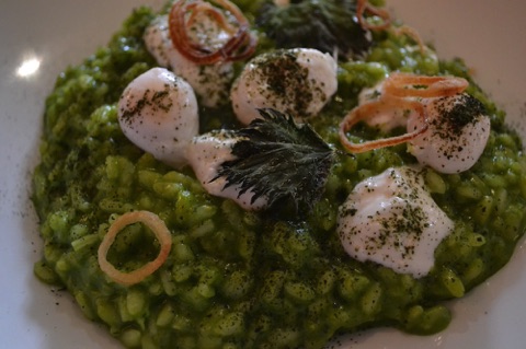 Wild garlic and nettle risotto